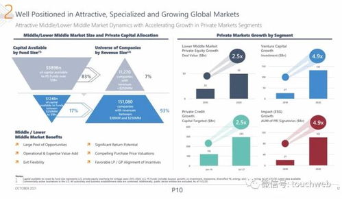 資產(chǎn)管理公司P10沖刺美股 最高募資3.2億美元 路演PPT曝光