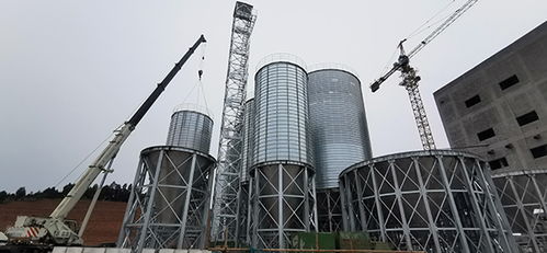 蒼溪縣總投資1.2億元飼料加工廠預計二季度試生產(chǎn)