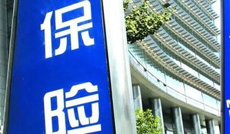 惠州人注意了,明天起,這些新規(guī)將影響你的生活